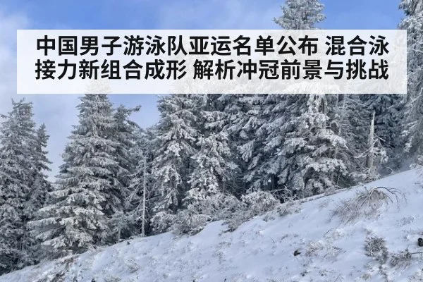 中国男子游泳队亚运名单公布 混合泳接力新组合成形 解析冲冠前景与挑战